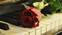 pic for Rose On Piano 